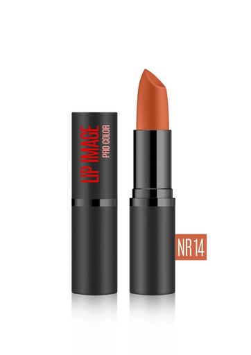 [lip10] Lip Stics LIP IMAGE Pro Color Satin Intensive Pigment # 14