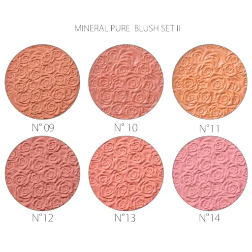 PURE MINERAL BLUSH #  new set 2 6g (12pcs)